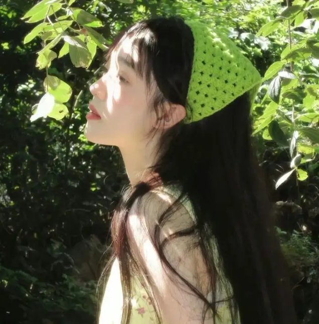 维也纳之舞